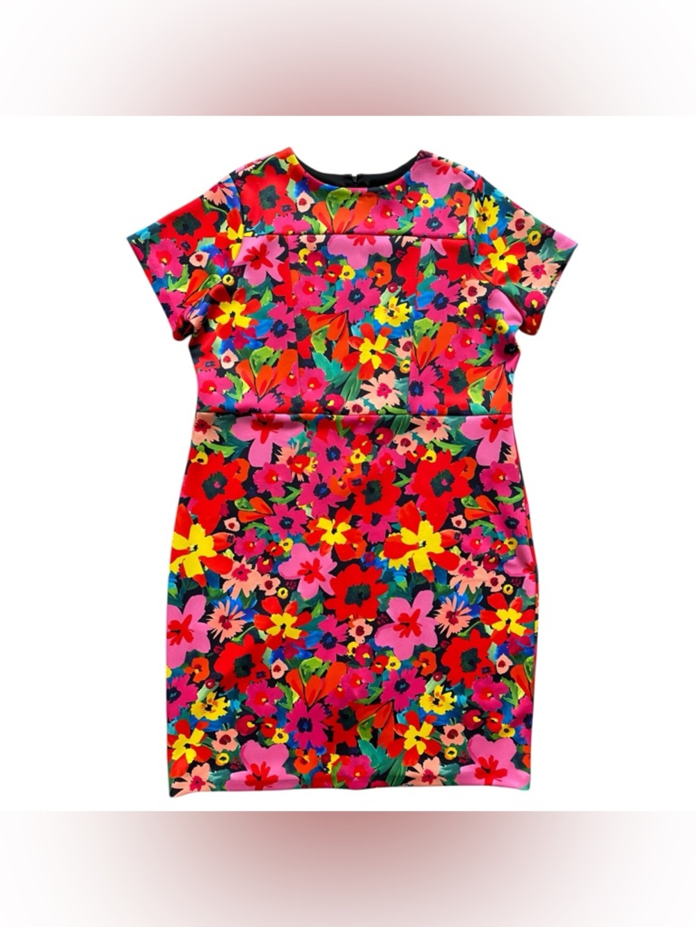 Alexia Admor Women’s Plus Size 2X Scuba Sheath Dress Multicolor Floral Stretch